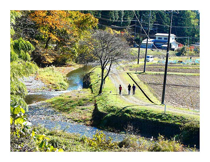 秋山川のほとりを犬と戯れながら行く美しい風景