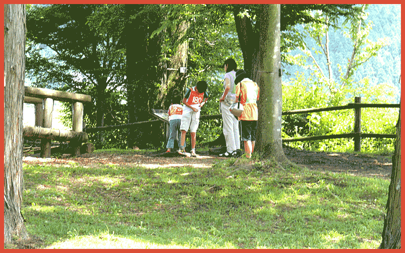 大谷川公園でフィールドアスレチックに勤しむ子どもたちの姿・・・・これからがこういった季節なのでしょう・・・・ゼッケンを付けて回るのです！
