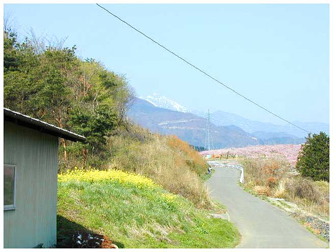 甲斐駒ケ岳の見える道