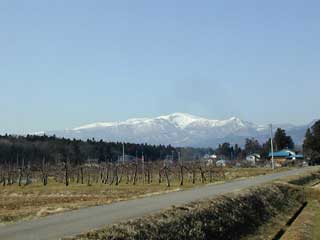 箕輪山と雪の吾妻連峰