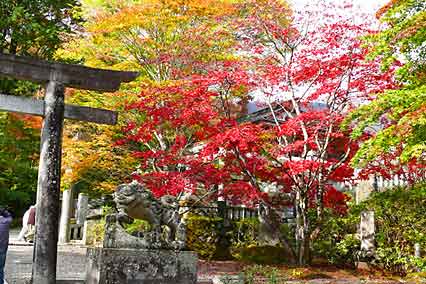 神社周辺の紅葉は素晴らしい