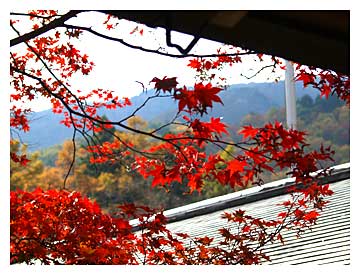 神社前から見る紅葉の風景