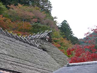 古風な古峯神社の屋根