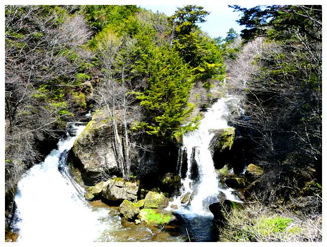 早春の竜頭の滝