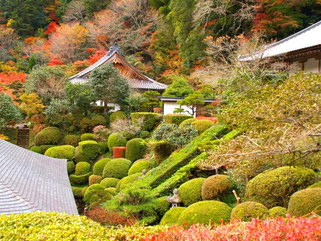 雲厳寺優雅な庭園