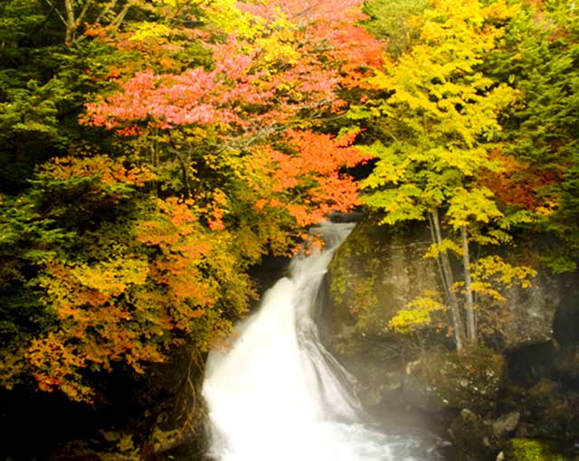日光竜頭の滝の紅葉
