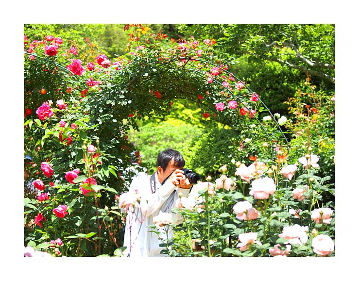 flower garden Karasuyama area
