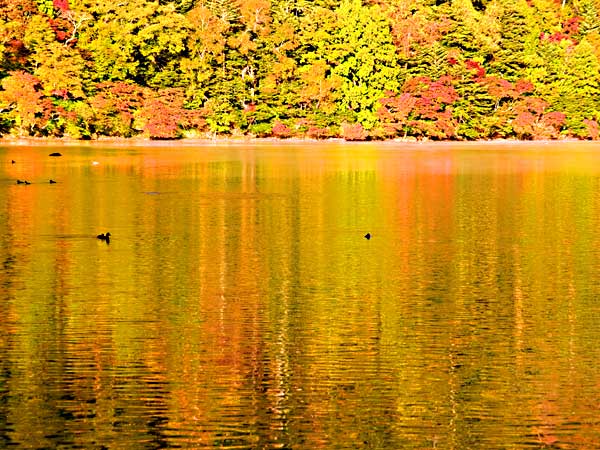 湯の湖の紅葉２